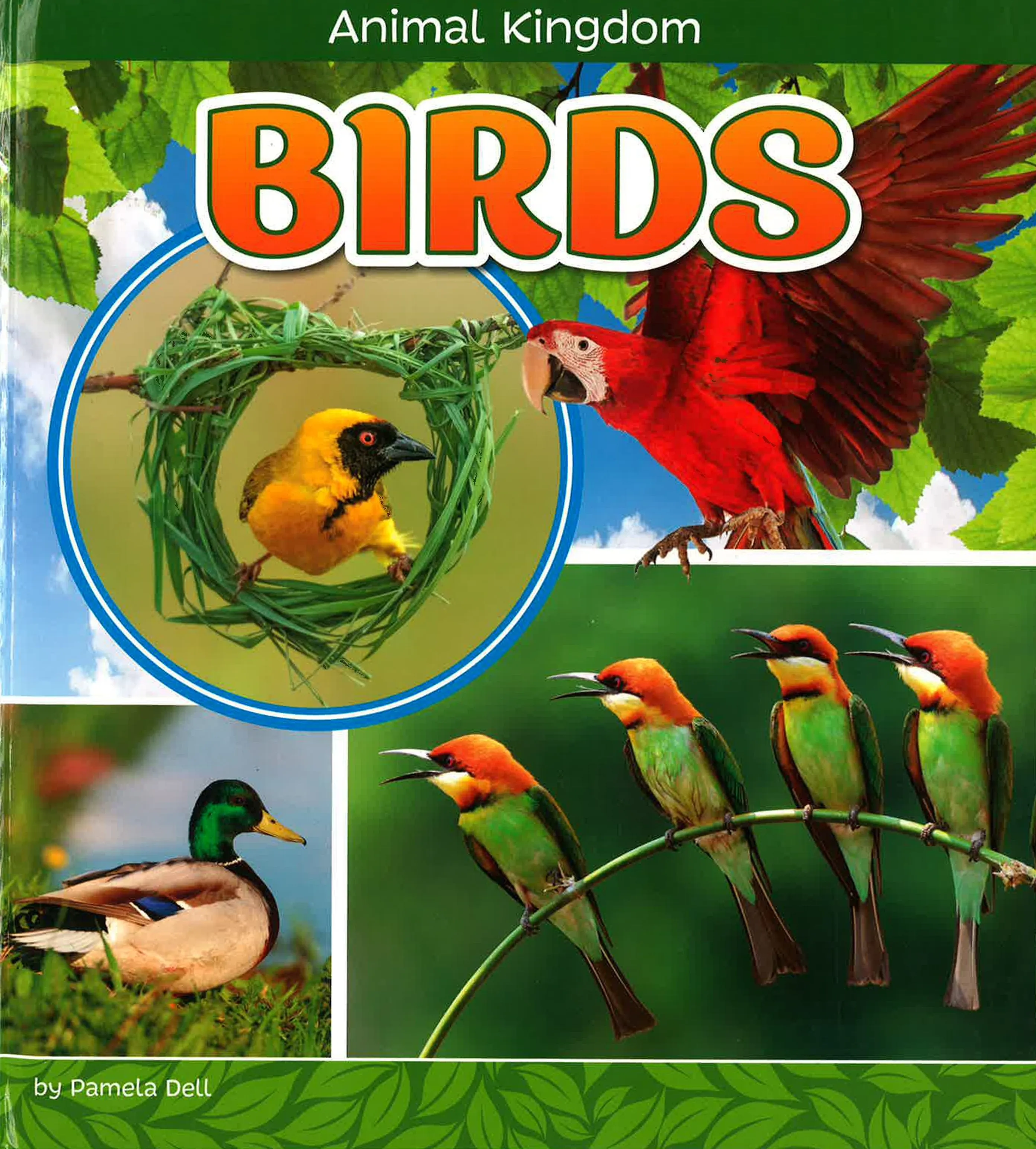 Birds