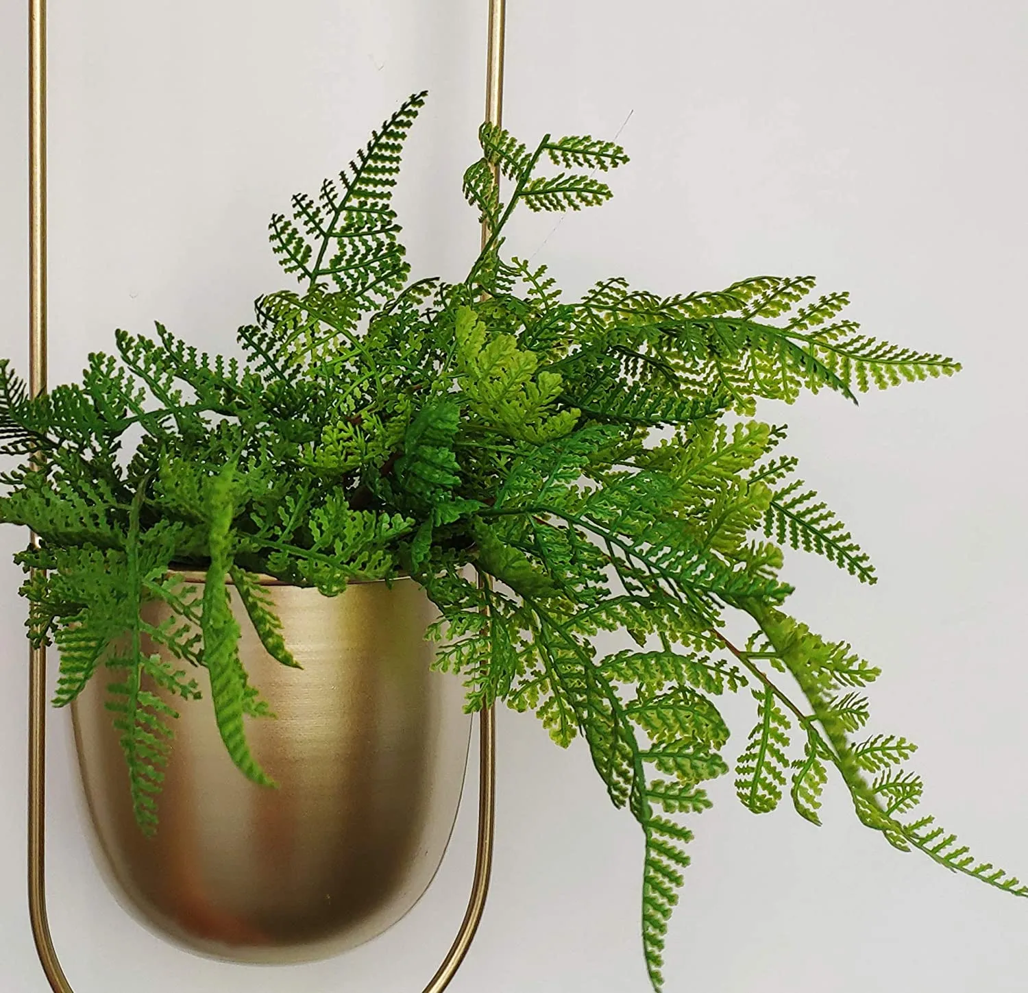 Minimalist Metal Plant Hanger Oval Shape-Gold