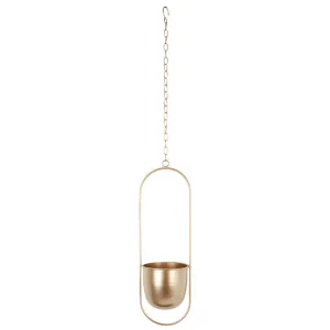 Minimalist Metal Plant Hanger Oval Shape-Gold