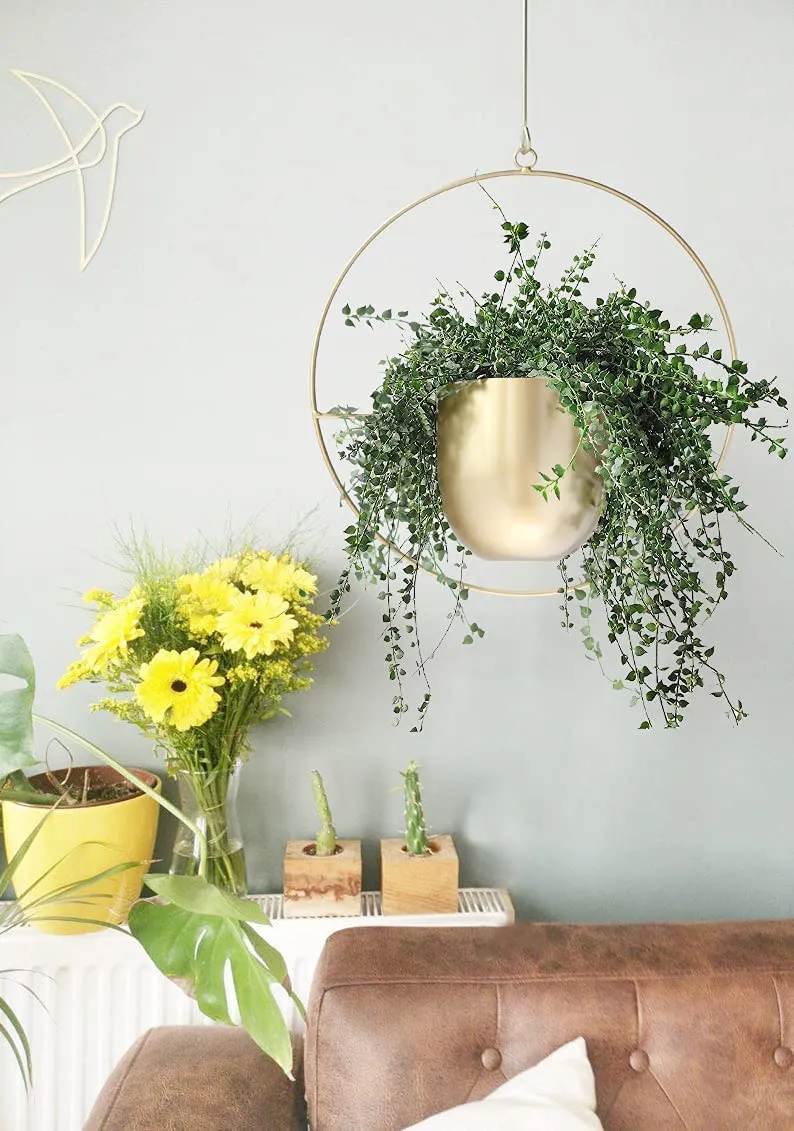 Minimalist Metal Plant Hanger Round Shape-Gold