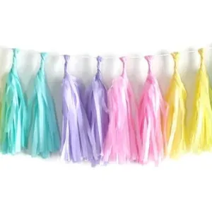 Pastel Enchanted Tassel Garland Kit