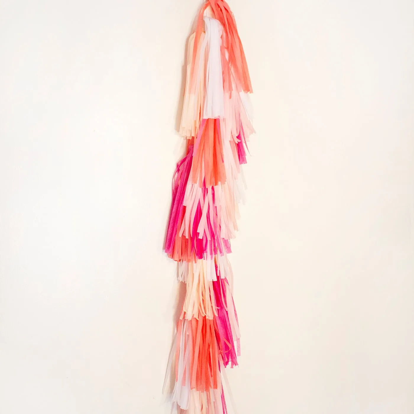 Tropical Paper Tassel Tail - Tassel DIY Garland Kit